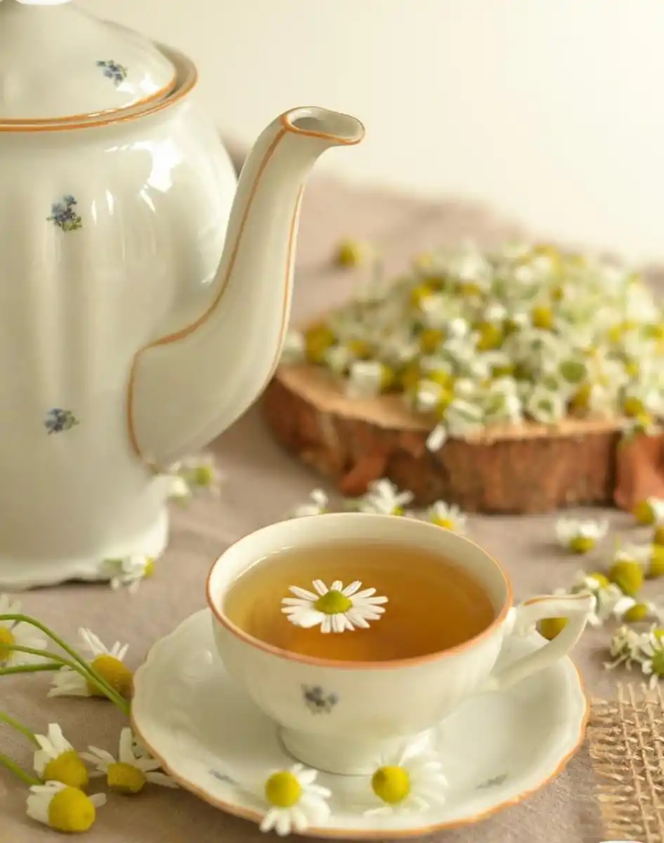 LifeStyle: Tu jardín, medicina natural