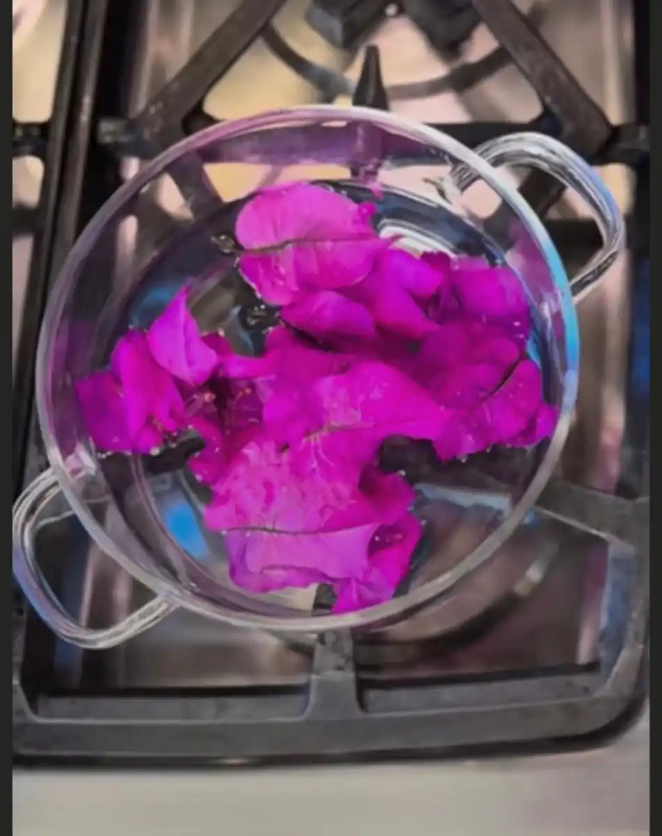 LifeStyle: Tu jardín, medicina natural