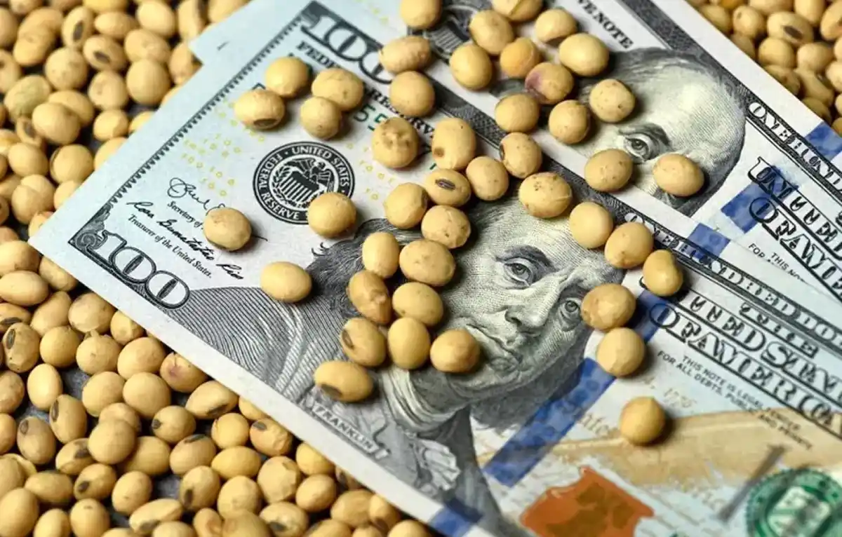 Qué es la eliminación de las retenciones y cómo puede impactar en el campo