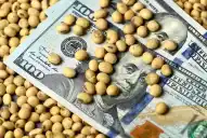 Qué es la eliminación de las retenciones y cómo puede impactar en el campo