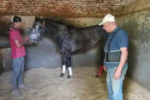 Rulo Assad quiere escribir otra página dorada en el Gran Premio Batalla de Tucumán
