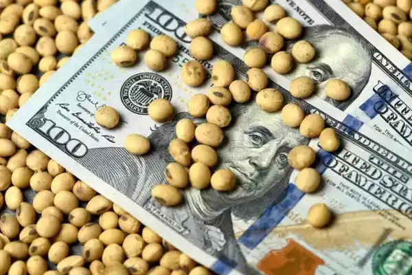 Qué es la eliminación de las retenciones y cómo puede impactar en el campo