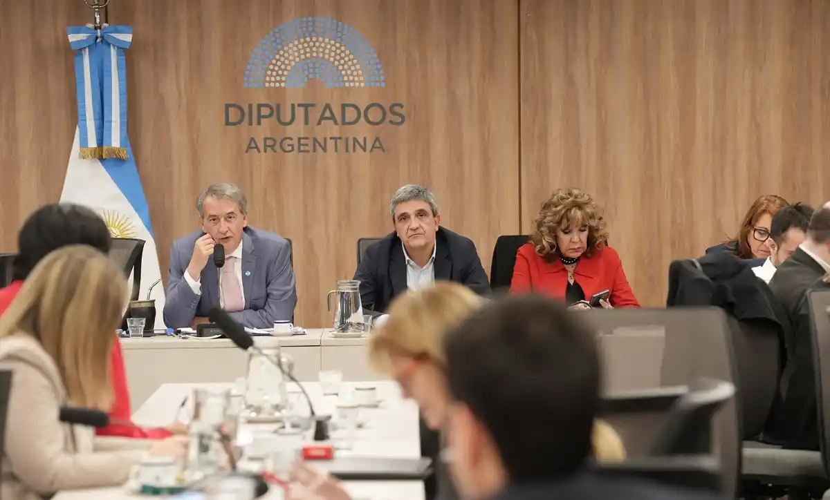 Al inicio del plenario, el presidente de la Comisión de Acción Social y Salud Pública, Pablo Yedlin, señaló que las interpelaciones buscan “explicaciones y respuestas de los audios filtrados sobre presuntos pagos ilegales”