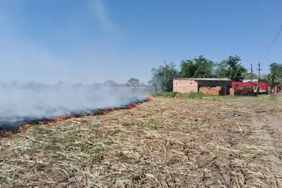 Otro incendio de pastizales generó alarma en Alderetes