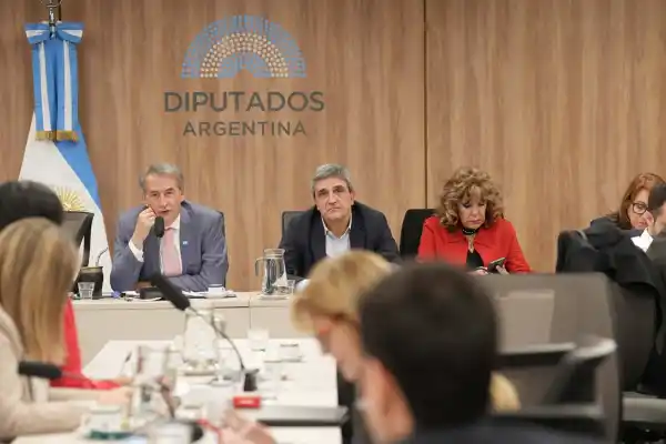 600x400_al-inicio-plenario-presidente-comision-accion-social-salud-publica-pablo-yedlin-senalo-interpelaciones-buscan-explicaciones-respuestas-los-1104310-165551.webp