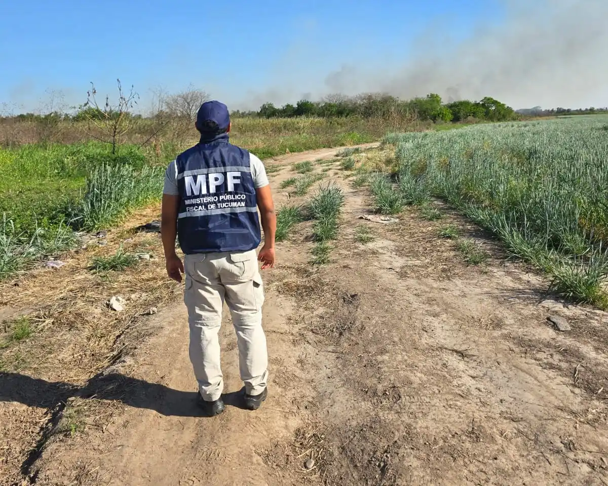 Hubo un nuevo incendio de cañaverales en Los Aguirre