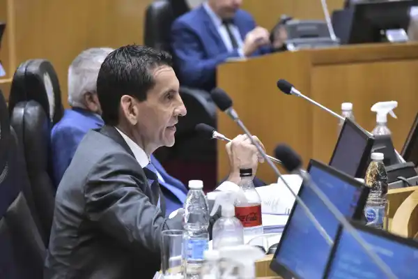 OFUSCADO. Gerónimo Vargas Aignasse cruzó a la oposición por sus críticas. 