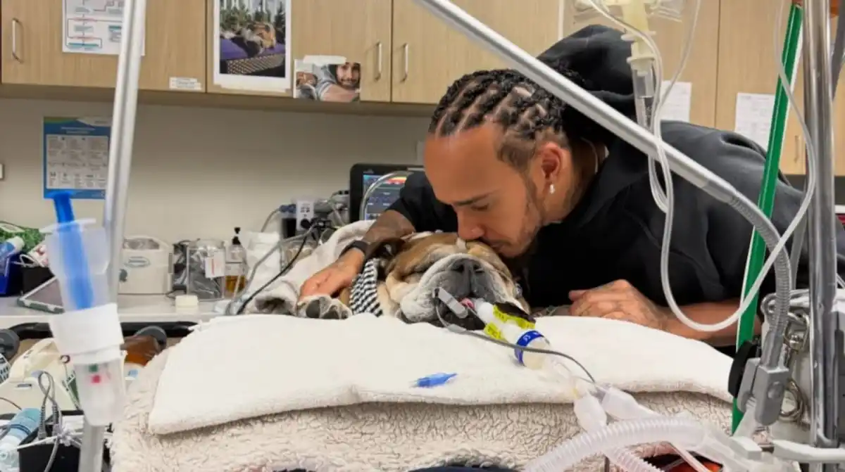 “Téngalo presente en sus pensamientos y oraciones”: el desesperante momento de Hamilton por su mascota