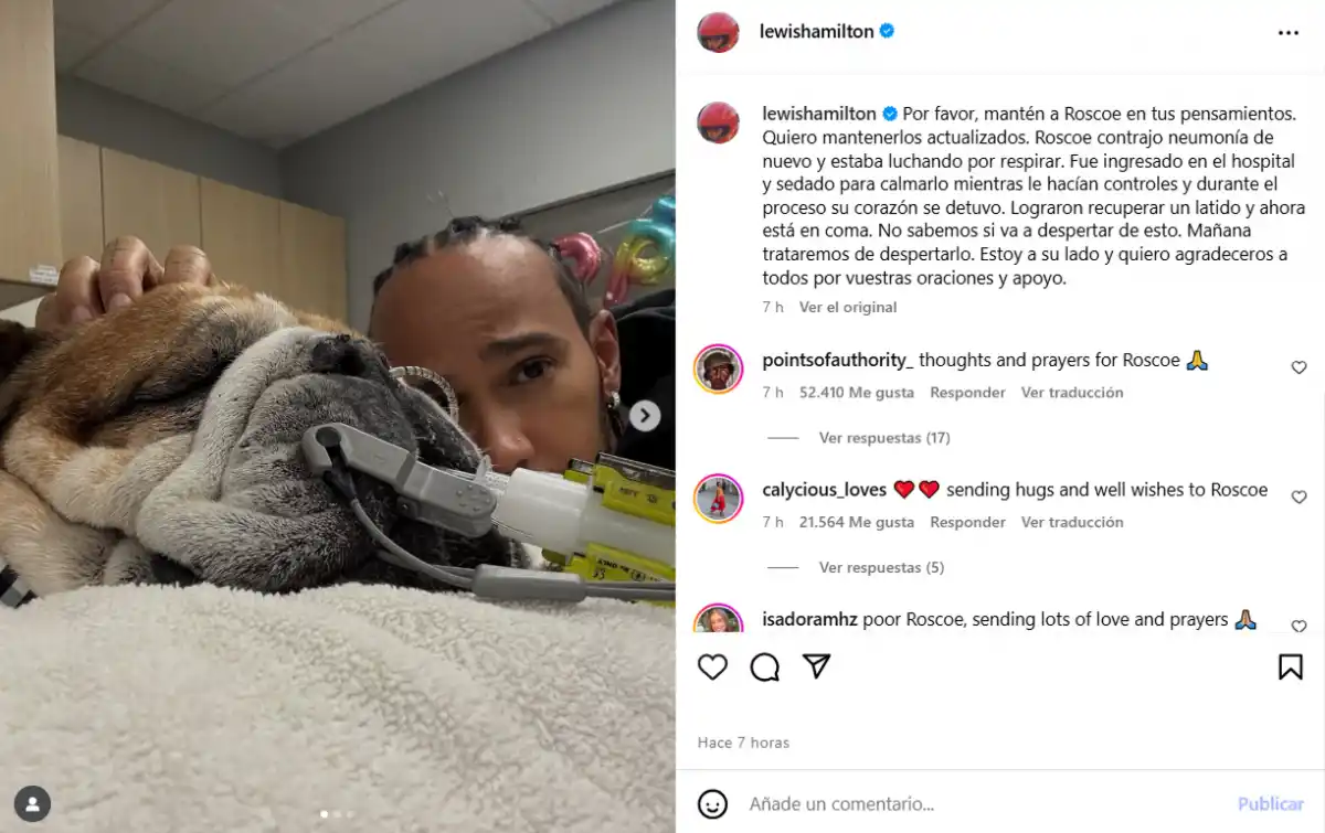 No sabemos si va a despertar de esto: la dolorosa noticia que recibió Lewis Hamilton