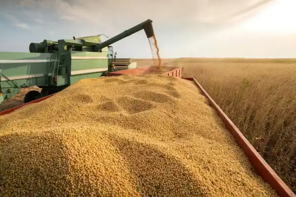 El agro se quejó por el efímero plan de retenciones cero