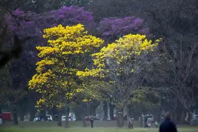Un fin de semana soleado, ideal para disfrutar de actividades al aire libre