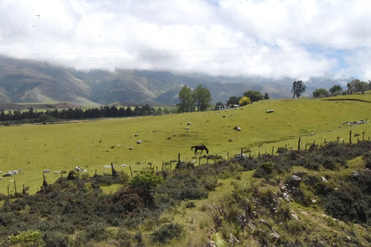 EN LA ALTURA. Los especialistas aseguran que Tafí del Valle puede producir vinos blancos de calidad. 
