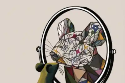 Estudios en ratones muestran que las expresiones faciales reflejan los pensamientos