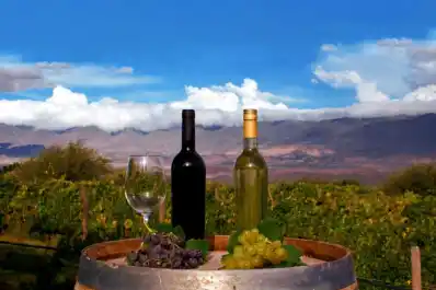 ¿Cuántos vinos tucumanos tomaste en el último año?