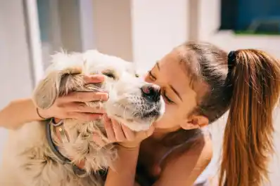 Cuál es la enfermedad silenciosa que transmiten los perros: cuidado con besarlos