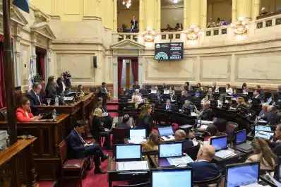 Revés para el Gobierno: el Senado rechazó los vetos a las leyes de financiamiento universitario y de fondos para el Garrahan