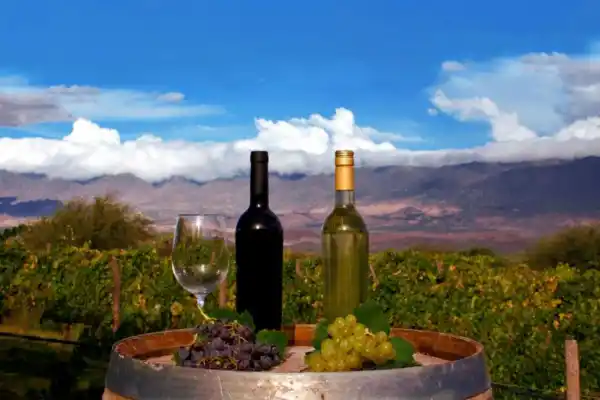 ¿Cuántos vinos tucumanos tomaste en el último año?