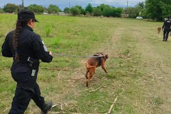 Con la ayuda de perros rastreadores, rescataron a una joven desaparecida en Lules