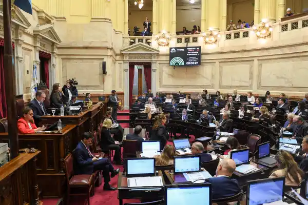 Revés para el Gobierno: el Senado rechazó los vetos a las leyes de financiamiento universitario y de fondos para el Garrahan