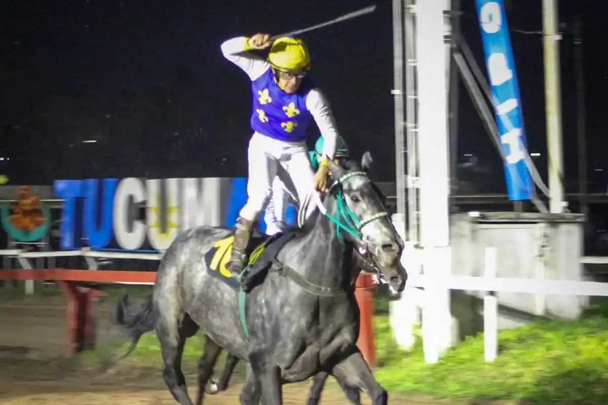 CANDIDATA. La tordilla Cima Himalaya intentará volver a la victoria luego de 119 días sin visitar el podio.