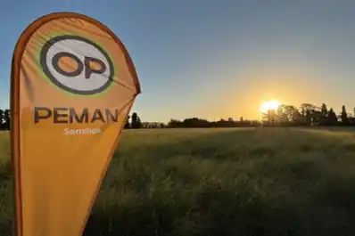 Peman lanzó un tratamiento profesional de semillas