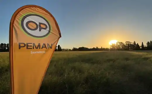 Peman lanzó un tratamiento profesional de semillas