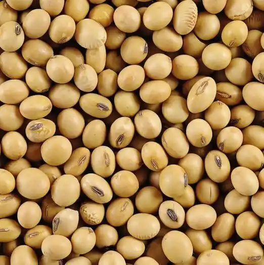 Soja: Neogen apunta a ocupar 2,5 millones de hectáreas en 2029