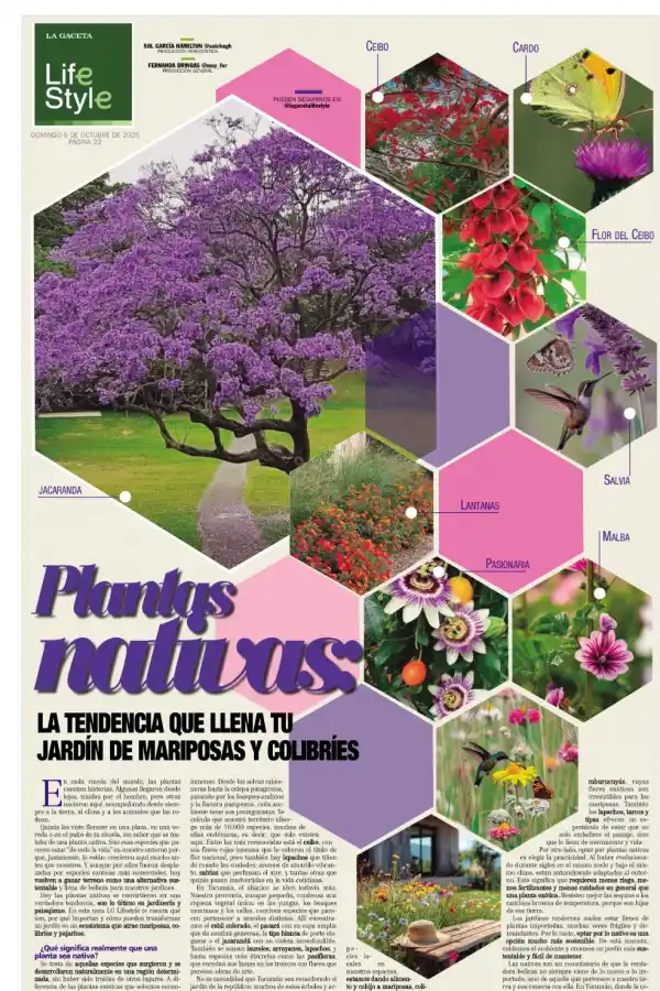 Plantas nativas: la tendencia que llena tu jardín de mariposas y colibríes