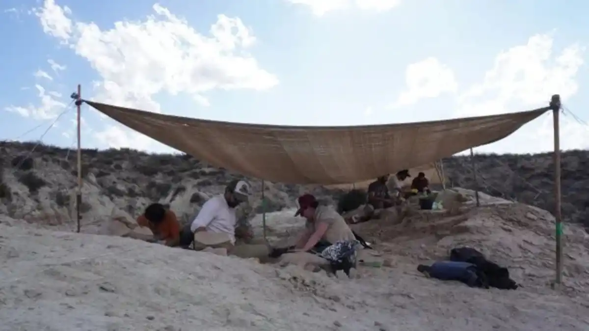 El Conicet vuelve al streaming con una expedición para descubrir dinosaurios en Río Negro