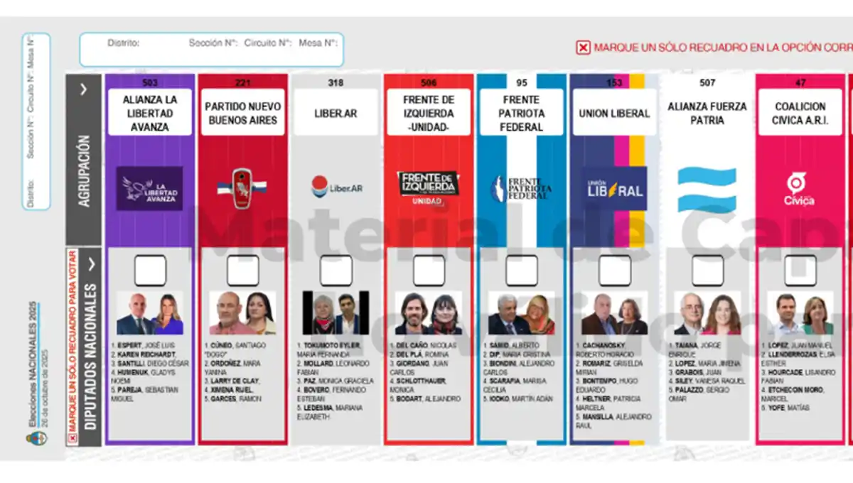 LISTAS. Las BUP de Provincia de Buenos Aires comenzaron a distruibuirse la semana pasada. 