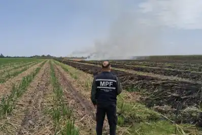 Detectan un nuevo foco de quema de caña en Bella Vista y apuntan a un sospechoso