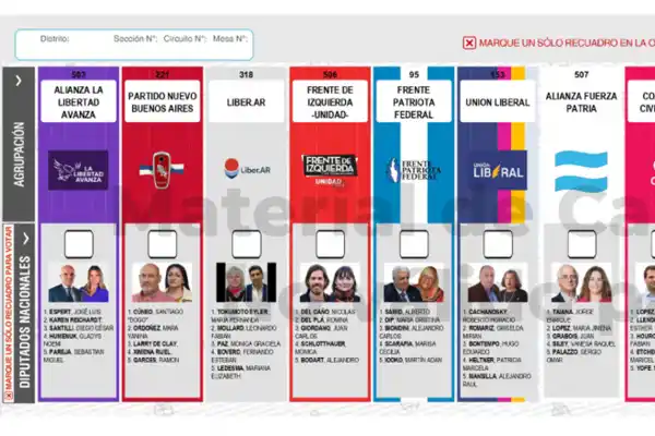 Tras la renuncia de Espert: qué pasará con las boletas impresas y cuánto le costaría al Estado reemplazarlas