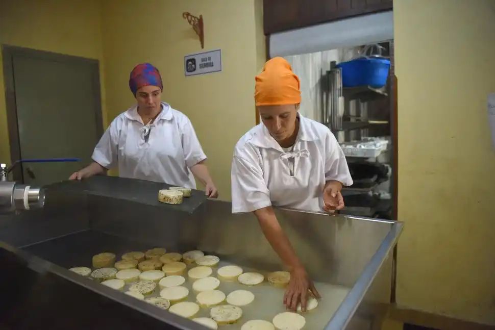 IDEA. Fieles a Tafí Viejo tierra de limones, ferrocarriles y lucha obrera, crearon un queso especial con ese sabor.