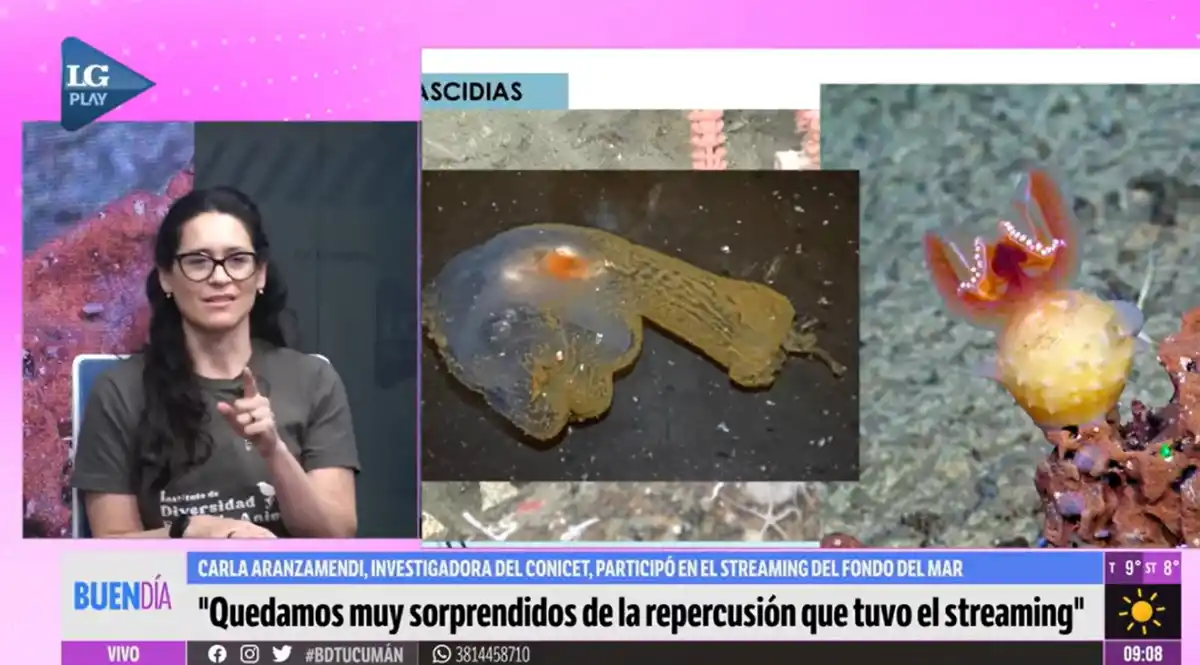 Participó de la excursión del Conicet y fue reconocida por la Legislatura de Tucumán