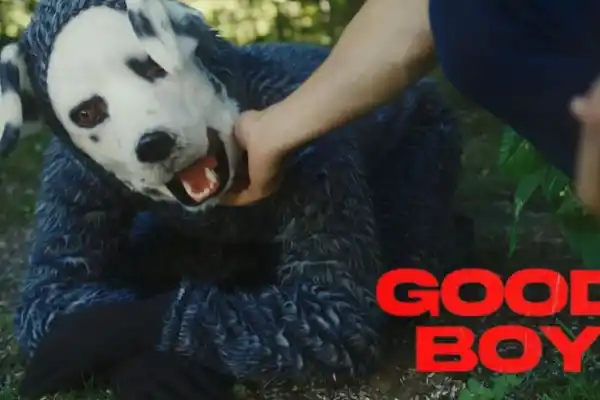 La película de terror que arrasa en tendencias: su protagonista es un perro