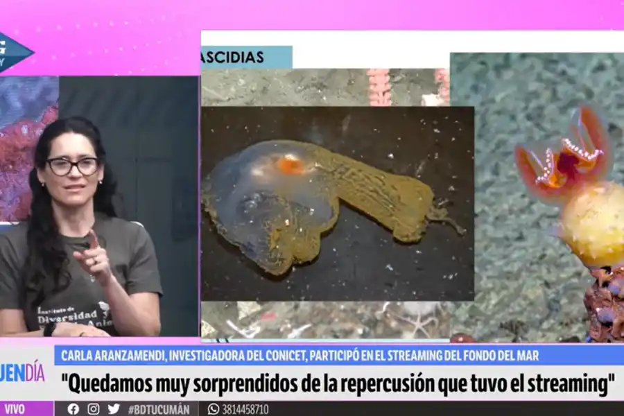 Participó de la excursión del Conicet y fue reconocida por la Legislatura de Tucumán