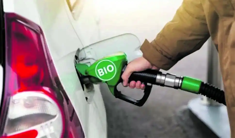 Motores flex en la Argentina: una medida nacional que ilusiona a los productores de bioetanol