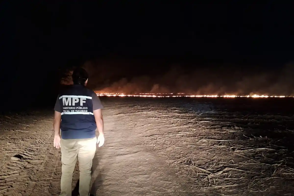 Más de 100 hectáreas arrasadas por un incendio en La Ramada