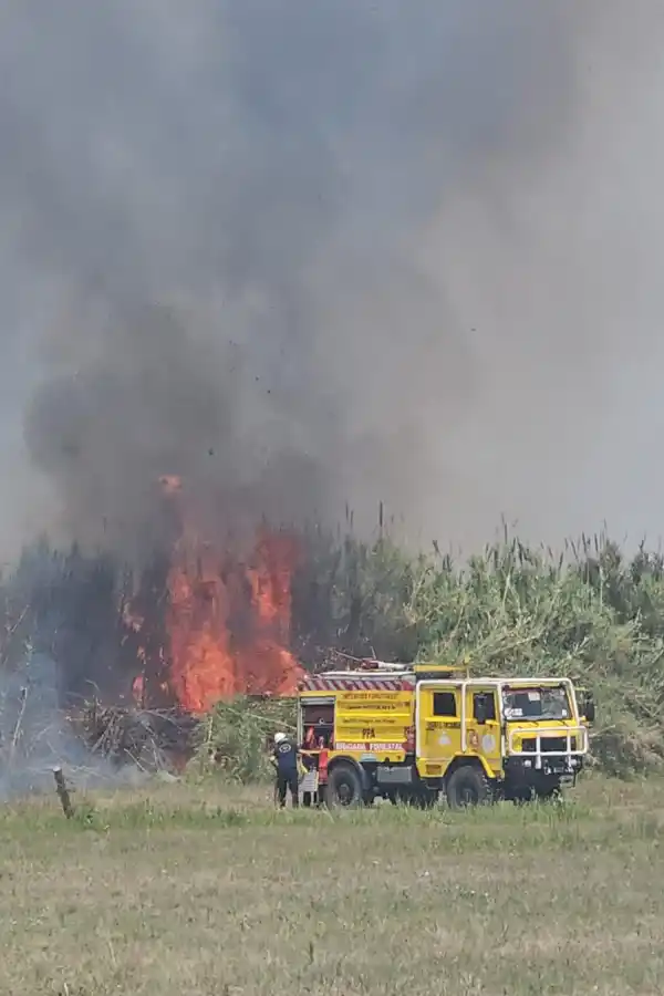 El aeropuerto Benjamín Matienzo vuelve a estar operativo, pero los vuelos fueron cancelados