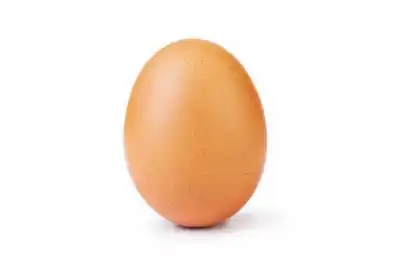 Día del huevo: un alimento completo