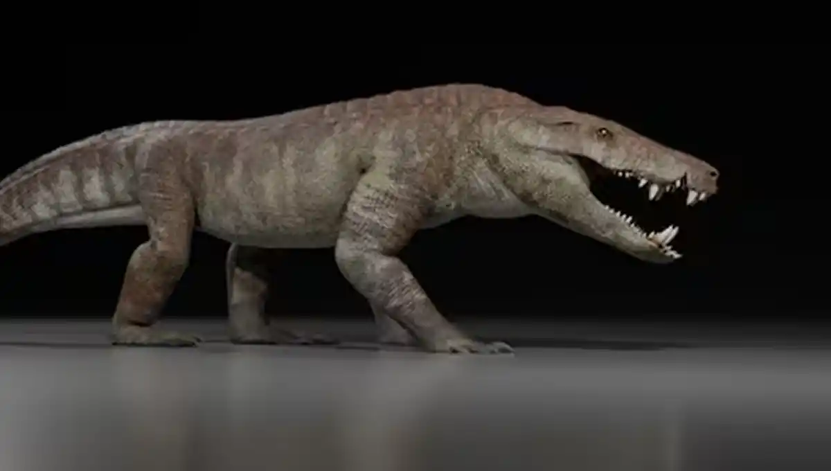 Científicos del Conicet encontraron la mandíbula de un dinosaurio y el hallazgo posterior los dejó asombrados