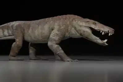 Científicos del Conicet encontraron la mandíbula de un dinosaurio y el hallazgo posterior los dejó asombrados