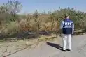 El Cadillal: sofocaron una quema de pastizales muy cerca de una plantación de cítricos
