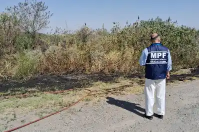 El Cadillal: sofocaron una quema de pastizales muy cerca de una plantación de cítricos