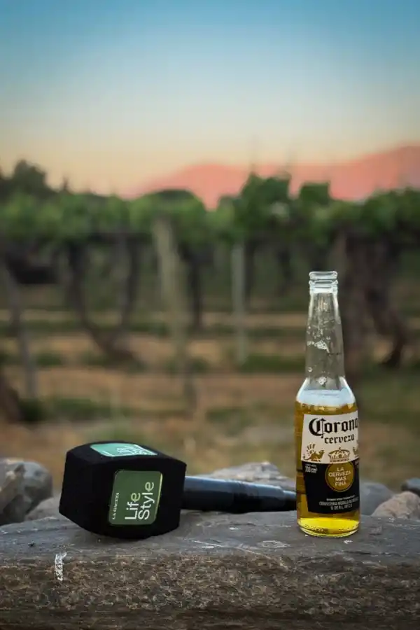 Corona Sunset Cafayate 2025: los mejores looks y la cobertura exclusiva de LG Lifestyle