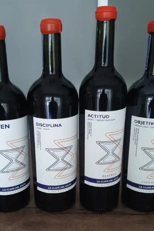 Sin viñedos ni bodega: la historia de los tucumanos que se animaron a cumplir el sueño de tener su propio vino