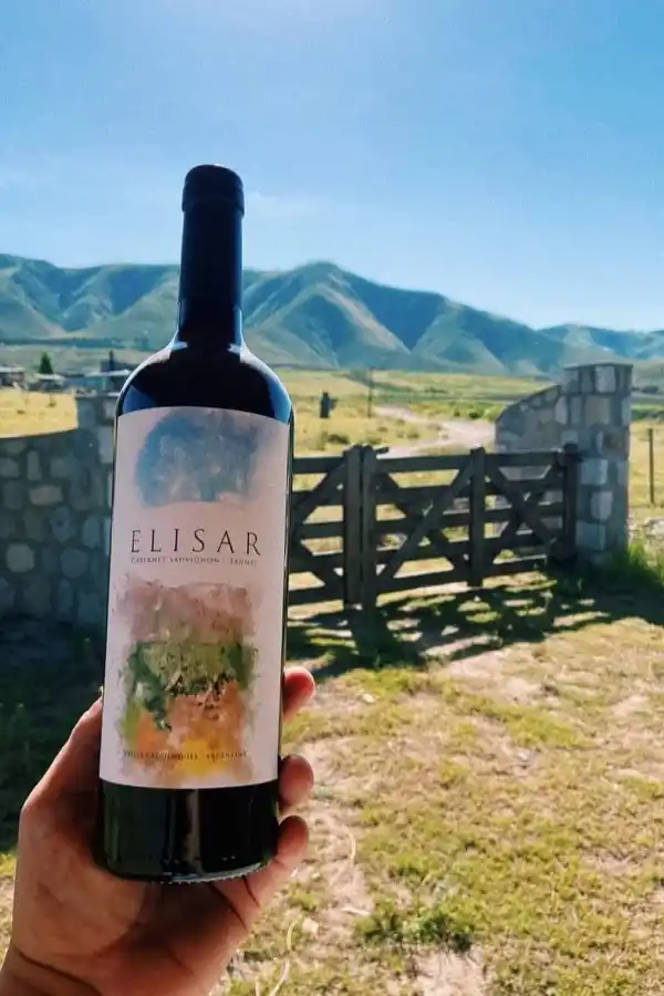 Sin viñedos ni bodega: la historia de los tucumanos que se animaron a cumplir el sueño de tener su propio vino