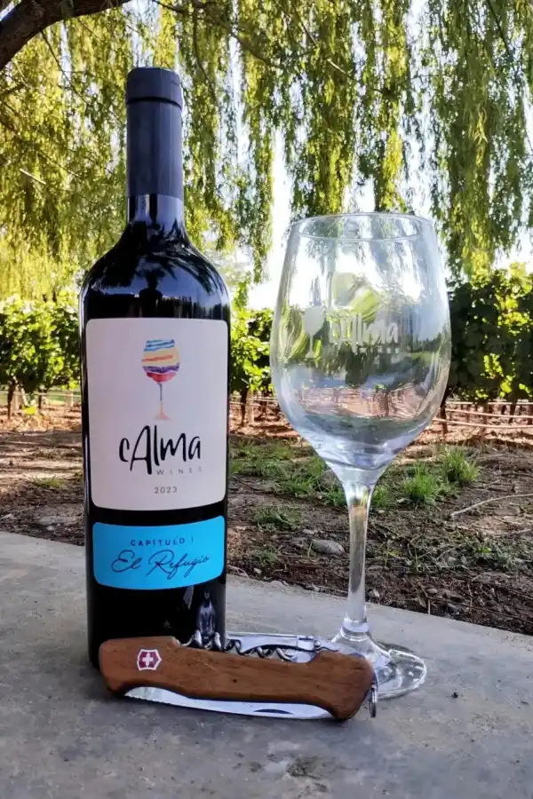 Sin viñedos ni bodega: la historia de los tucumanos que se animaron a cumplir el sueño de tener su propio vino