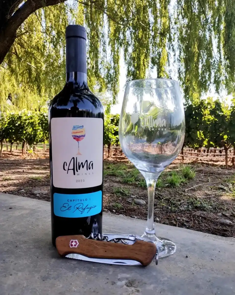 Sin viñedos ni bodega: la historia de los tucumanos que se animaron a cumplir el sueño de tener su propio vino