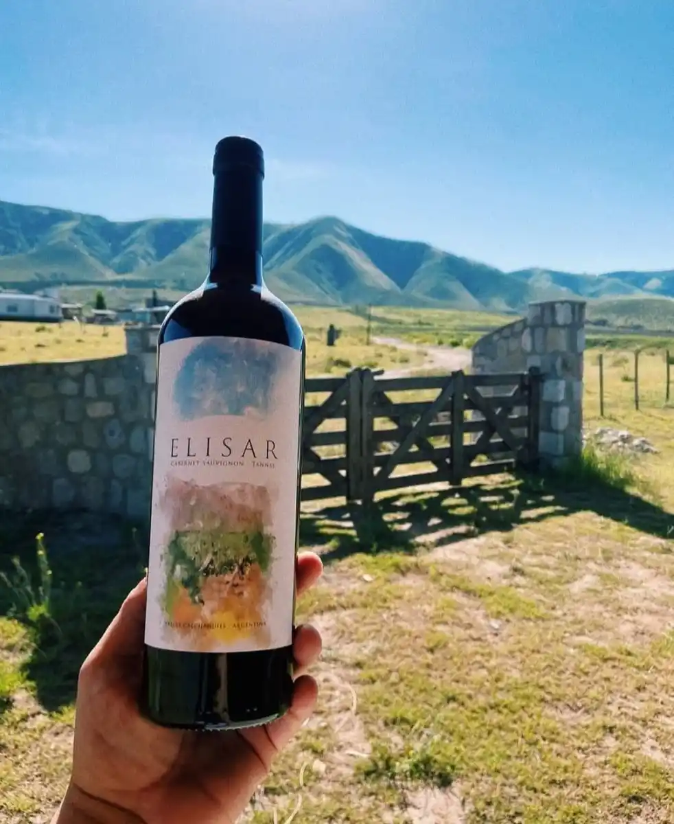 Sin viñedos ni bodega: la historia de los tucumanos que se animaron a cumplir el sueño de tener su propio vino